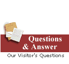 Q&A